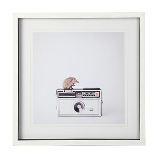 Hedgehog and Camera Art, 25x25