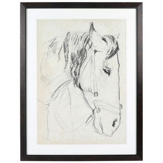 Horse Sketch 1 Art, 33x43
