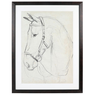 Horse Sketch 2 Art, 33x43