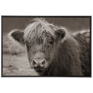 Highland Cow Sepia Art, 45x30