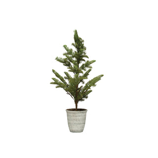 25" Pine Tree in Pot