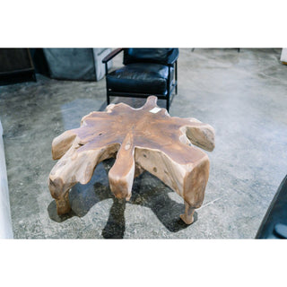 Cyp Root Coffee Table, Large