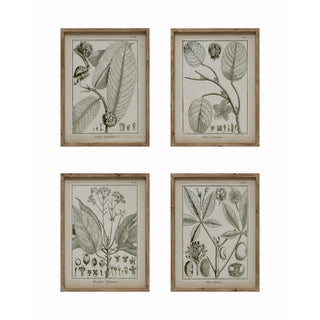 Wall Decor with Plant